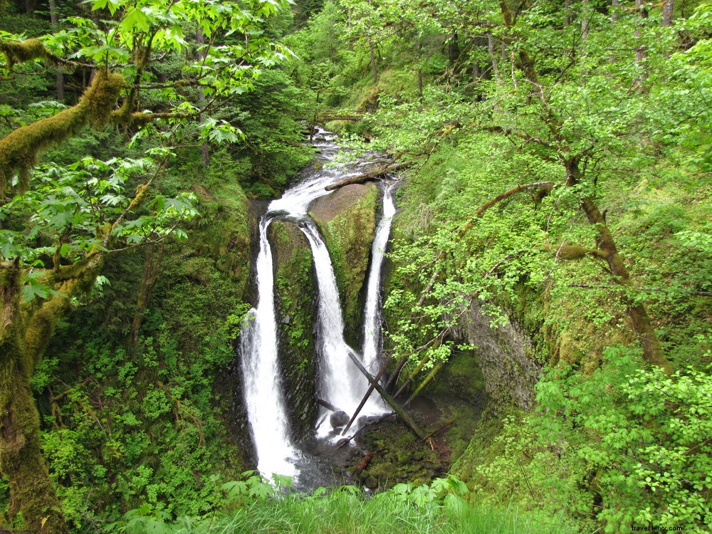 13 Air Terjun yang Anda Butuhkan dalam Hidup Anda:Tidak Perlu Paspor 